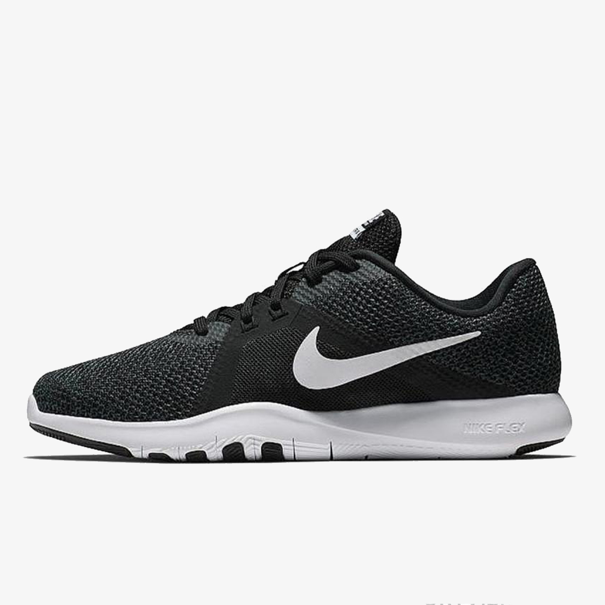 Trainer 8 2025