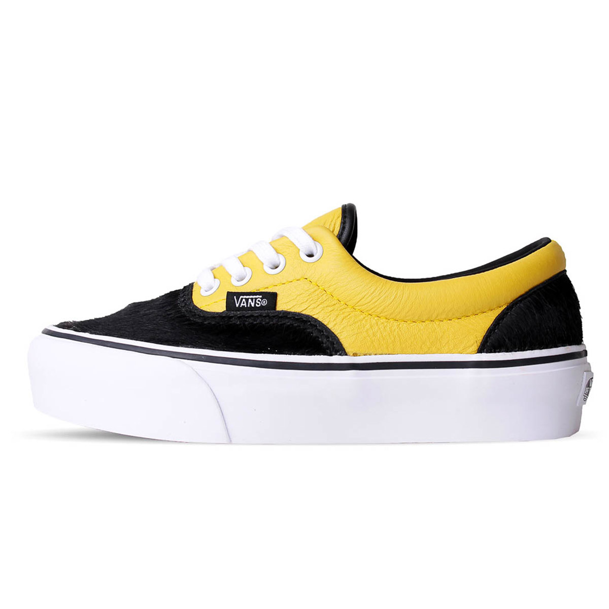 vans sport vision