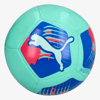 Puma Big Cat 