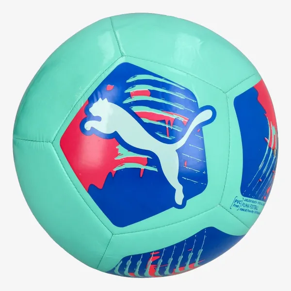 Puma Big Cat 
