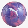 Puma Final Graphics 