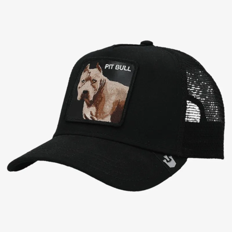 The Dog Pitbull 