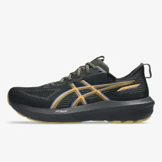 Asics GT-1000 14 GTX 