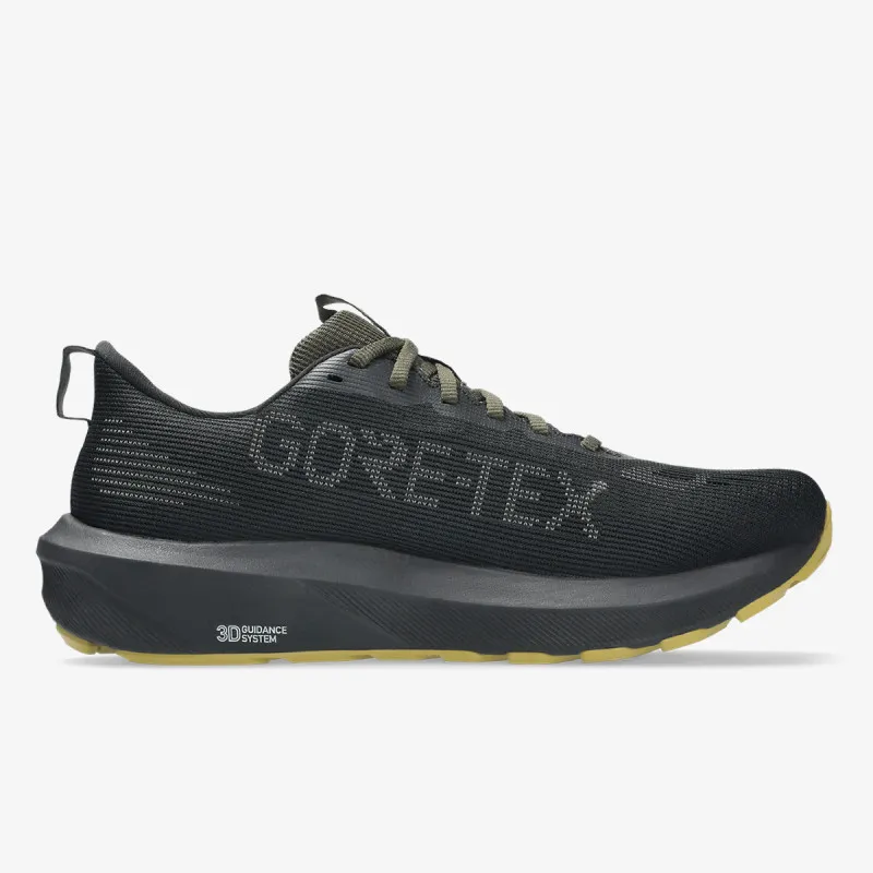 Asics GT-1000 14 GTX 