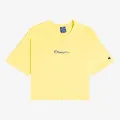 Champion Crop Top 