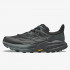 HOKA TENISICE Speedgoat 5 GTX 
