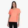 Champion Authentic 