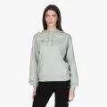 Champion Hooded 