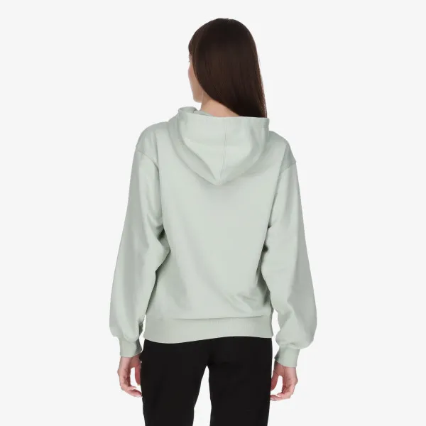 Champion Hooded 