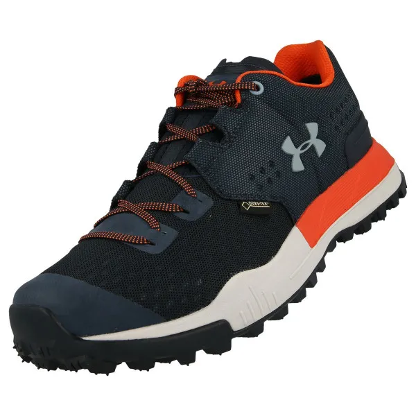 Under Armour UA NEWELL RIDGE LOW GTX-BDT 