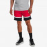 UNDER ARMOUR KRATKE HLAČE Heatwave 