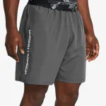 Under Armour Kratke hlače Wordmark 