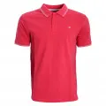 Champion POLO 