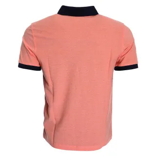 Champion POLO 