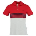 Champion POLO 