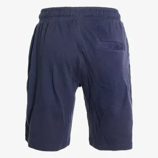 Champion BASIC 
