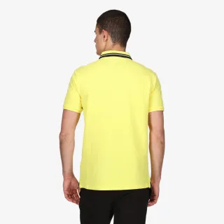 Champion POLO 