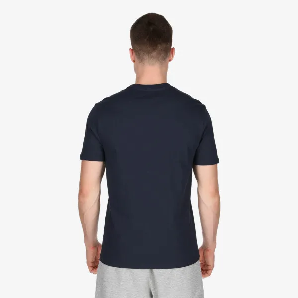 Champion BIG LOGO 