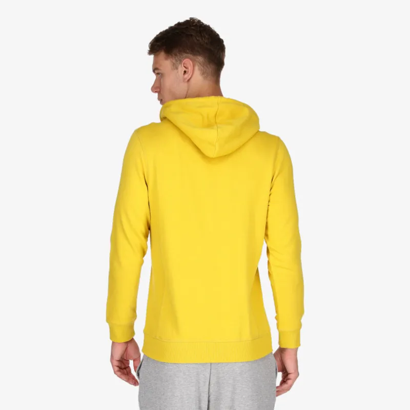 Champion BIG LOGO 