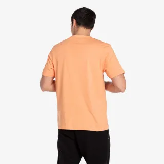 Champion C-BOOK 