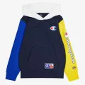 Champion Hooded Sweatshirt 