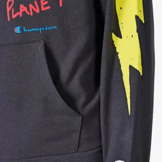 Champion Hooded Sweatshirt 