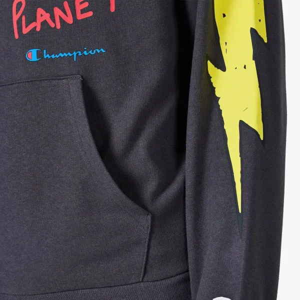 Champion Hooded Sweatshirt 