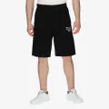 Champion Raw Logo 