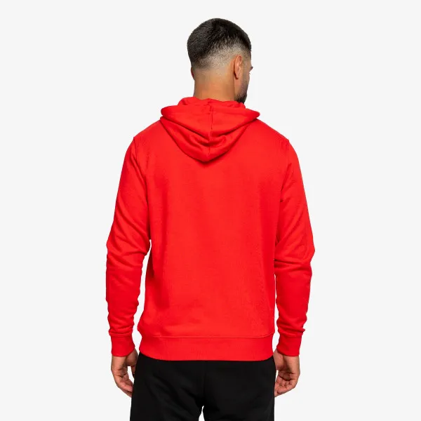 Champion GRAPHIC HOODY 