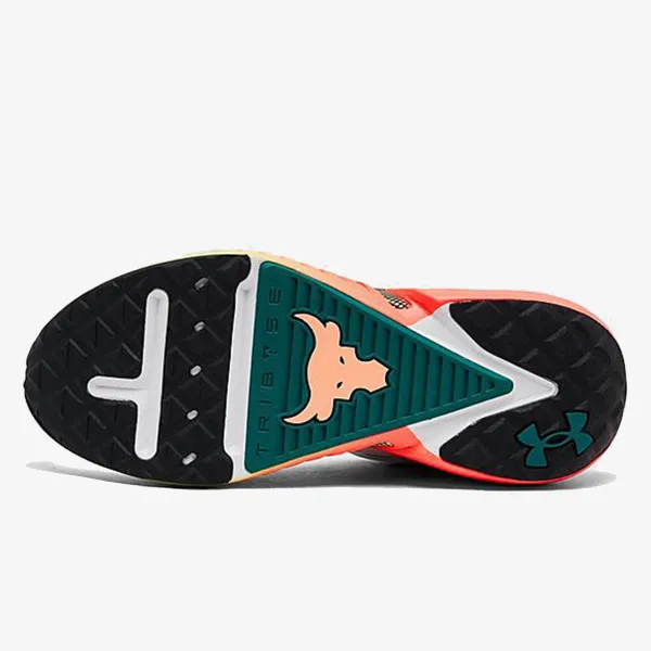 UNDER ARMOUR TENISICE Project Rock 5 