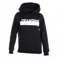 Champion HOODED SWEATSHIRT 