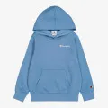 Champion Hooded Sweatshirt 