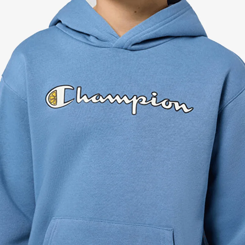 Champion Hooded Sweatshirt 