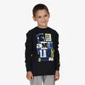 Champion SKATE LS TEE B 