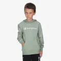 Champion Hooded Sweatshirt 