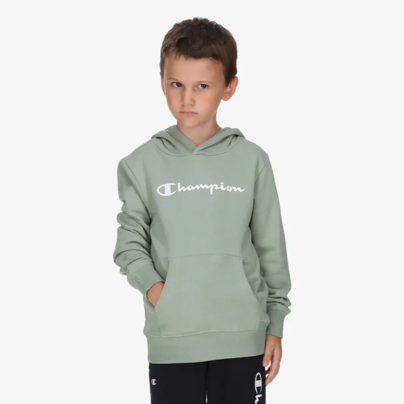 Champion Hooded Sweatshirt 