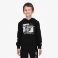 Champion SKATE LIFE HOODY 