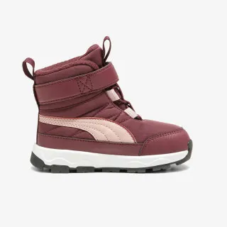 Puma Evolve 