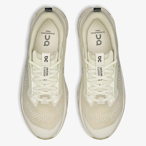 On Cloudsurfer Trail 2 