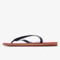 HAVAIANAS HAV. BRASIL LOGO 