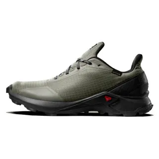 Salomon SALOMON tenisice ALPHACROSS GTX CASTOR GRA/EBONY/BK 