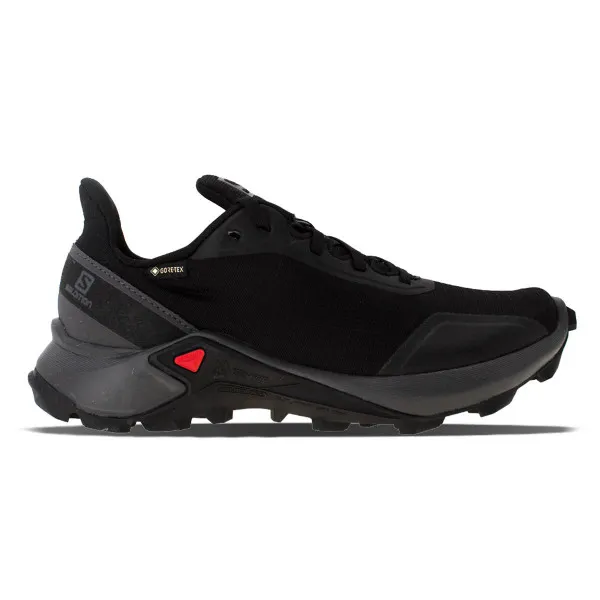 Salomon Tenisice SALOMON  tenisice ALPHACROSS GTX W BLACK/EBONY/BLACK 