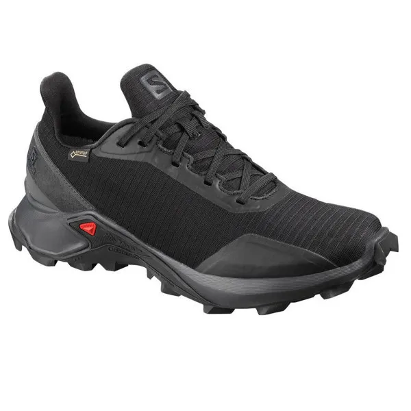 Salomon Tenisice SALOMON  tenisice ALPHACROSS GTX W BLACK/EBONY/BLACK 