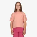 JORDAN JDG MJ BRKLYN ESSENTIALS SS TE 