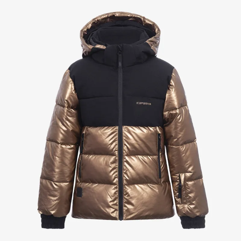 Icepeak DOWNLOOK 