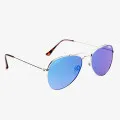 Bliz BLIZ POLARIZED SILVER C 