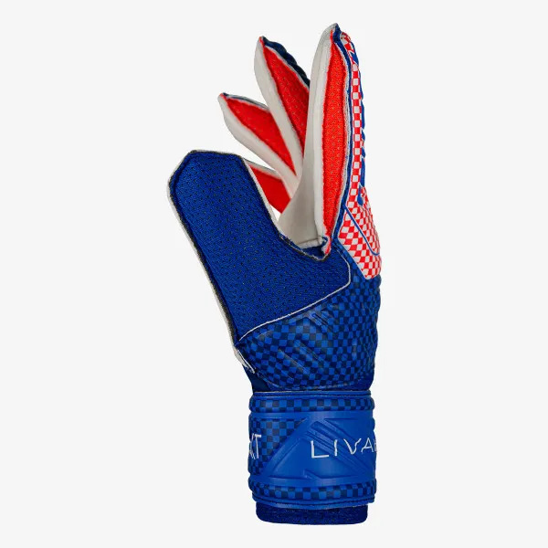 REUSCH GOLMANSKE RUKAVICE ATTRAKT SOLID JUNIOR LIVAKOVIC 4020 
