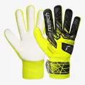 Reusch Attrakt Starter Solid 