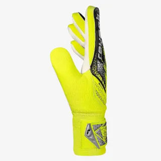 Reusch Attrakt Starter Solid 