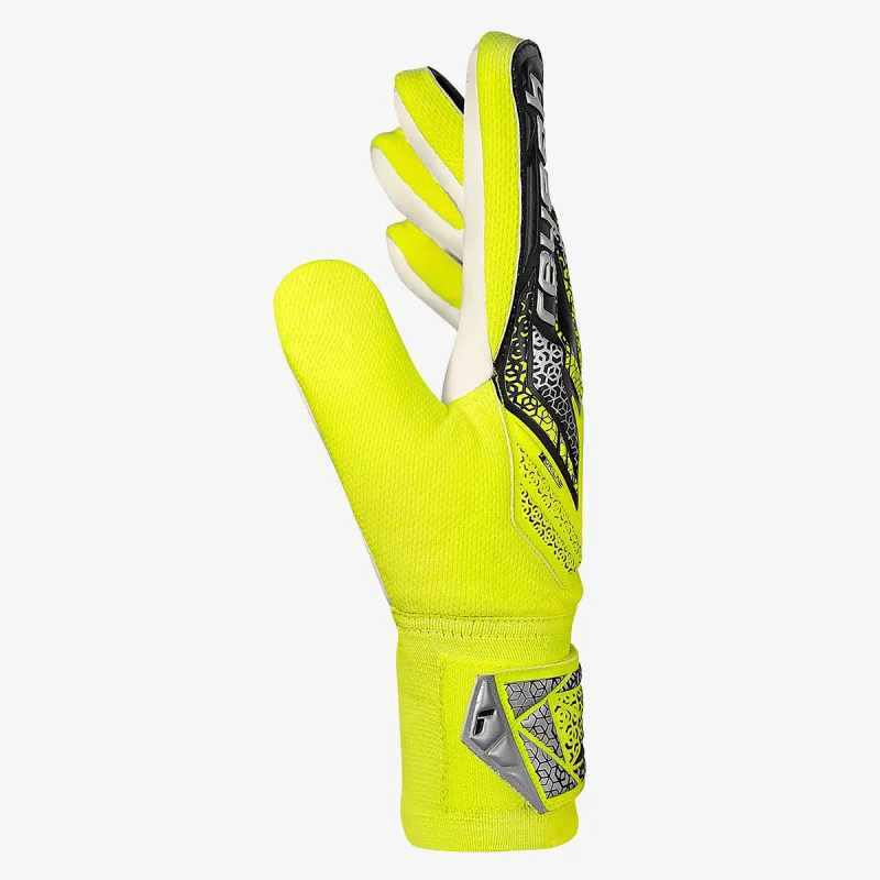 Reusch Attrakt Starter Solid 